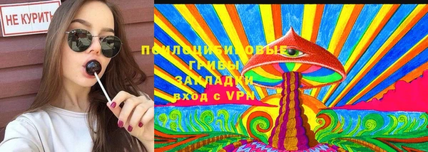 apvp Верея
