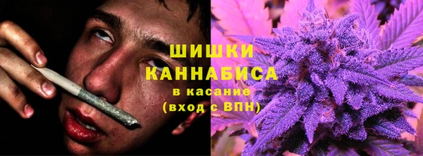 тгк Володарск
