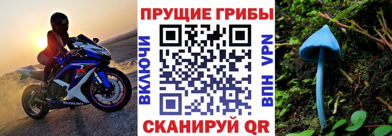 гидра   Заводоуковск  Псилоцибиновые грибы мицелий 