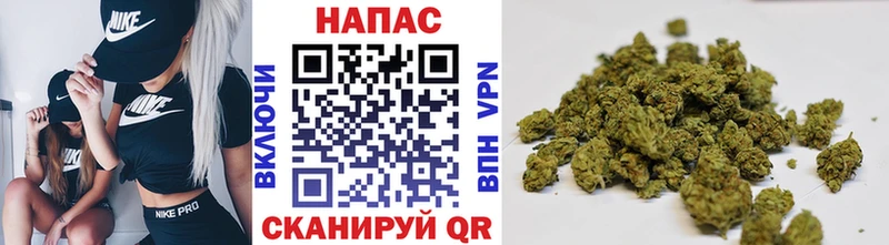 Шишки марихуана SATIVA & INDICA  купить   Заводоуковск 